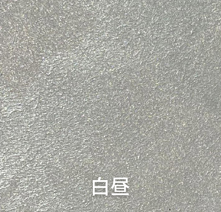 2025.1.14_14.20.59_6453