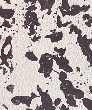 2025.1.14_14.53.16_2174