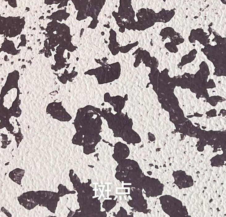 2025.1.14_14.53.21_8358