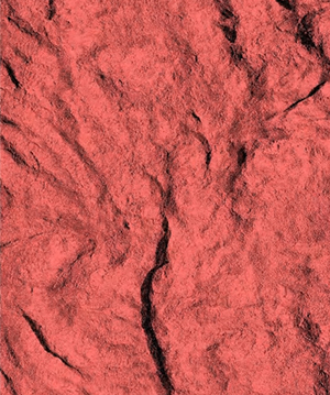 2025.4.12_17.55.41_4576