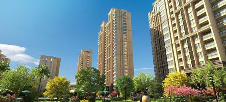 Z6·尊龙「中国区」官方网站