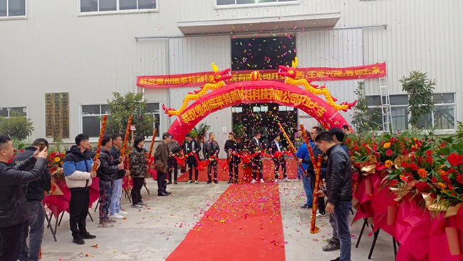 Z6·尊龙「中国区」官方网站