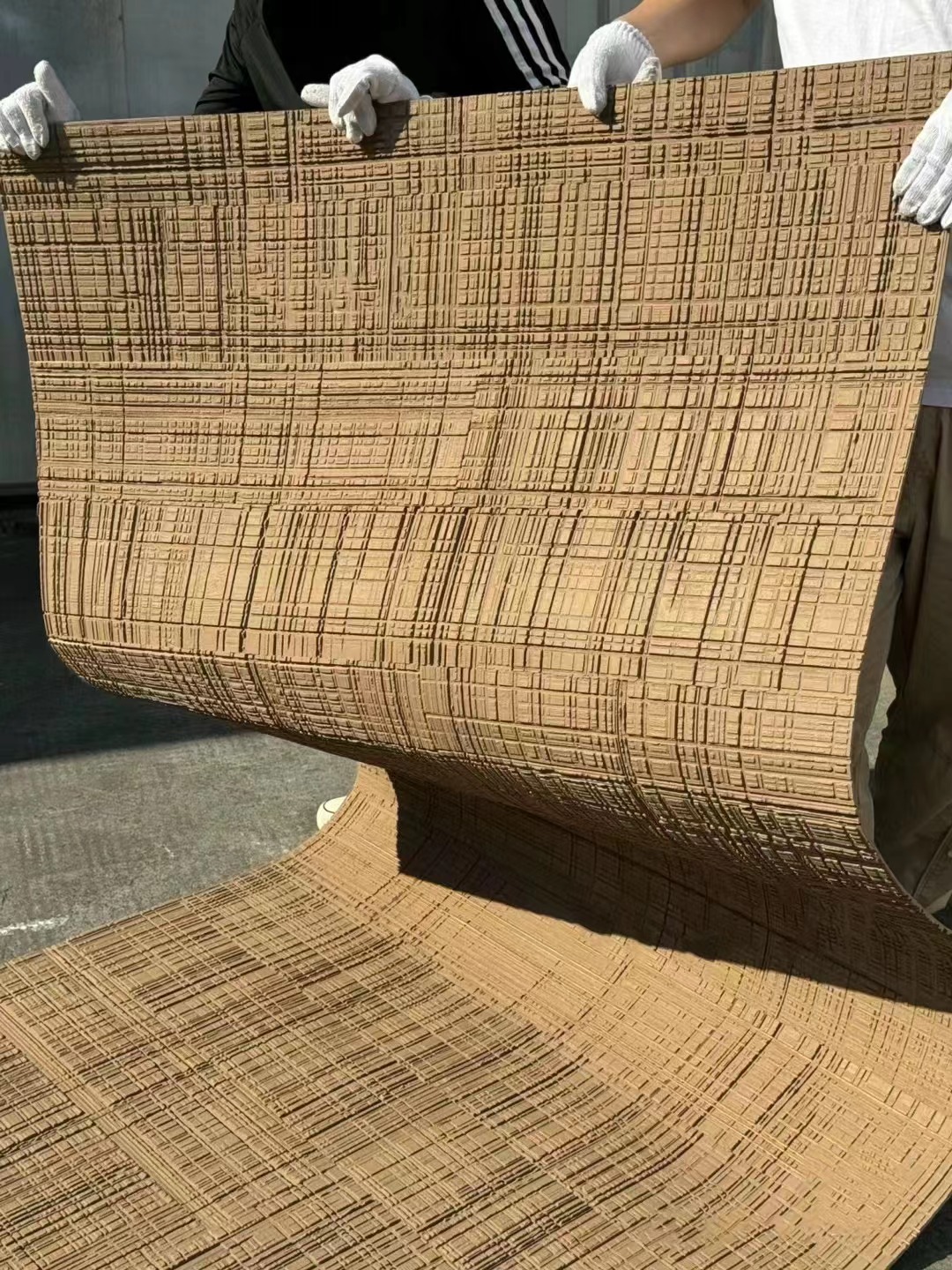 Z6·尊龙「中国区」官方网站