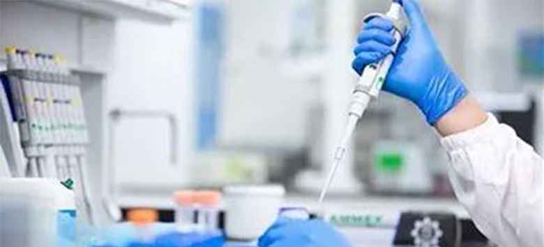 中国·永利(88858cc·VIP认证)官网 - GREEN LIFE