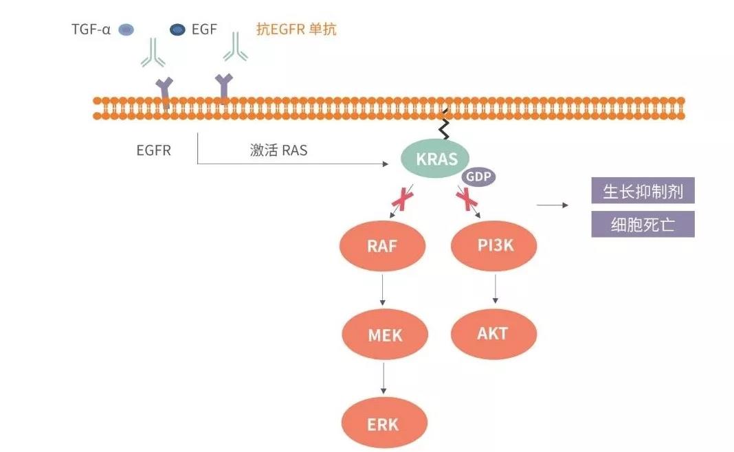 中国·永利(88858cc·VIP认证)官网 - GREEN LIFE