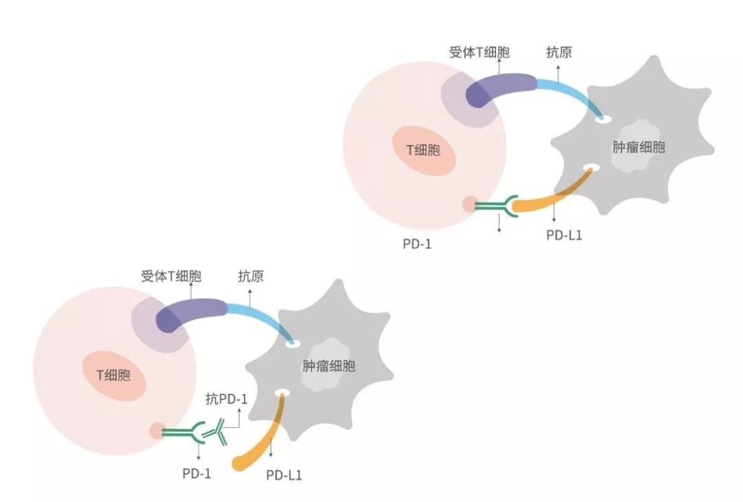中国·永利(88858cc·VIP认证)官网 - GREEN LIFE