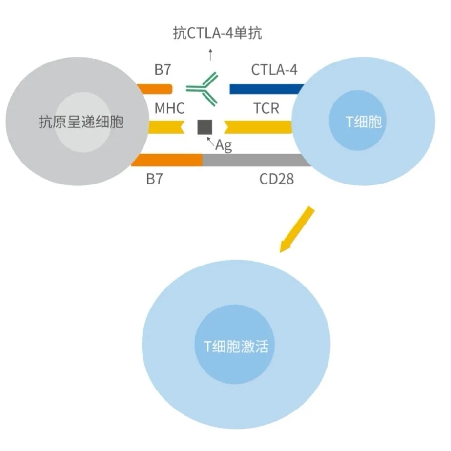 中国·永利(88858cc·VIP认证)官网 - GREEN LIFE
