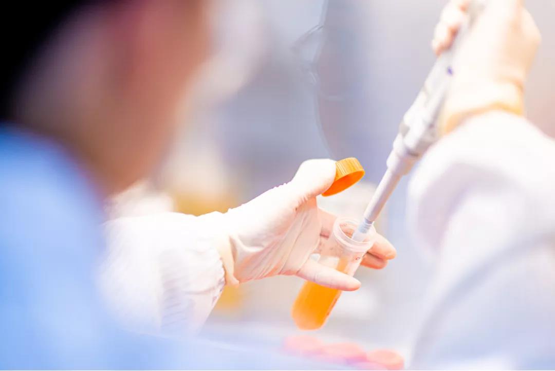 中国·永利(88858cc·VIP认证)官网 - GREEN LIFE