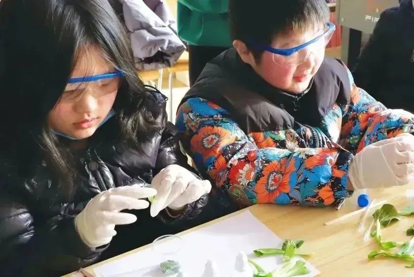 中国·永利(88858cc·VIP认证)官网 - GREEN LIFE