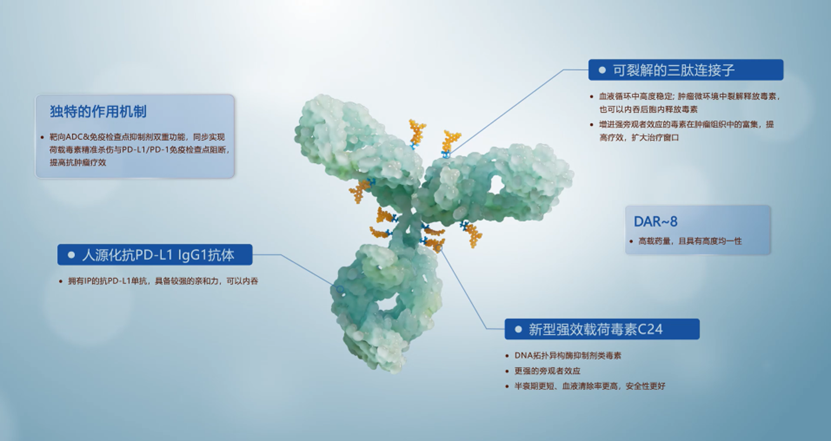中国·永利(88858cc·VIP认证)官网 - GREEN LIFE